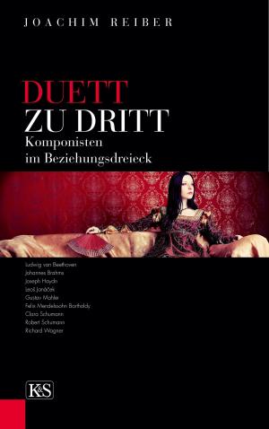 Cover of the book Duett zu dritt by Evelyn Steinthaler