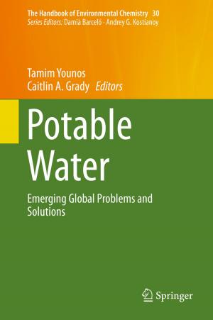 Cover of the book Potable Water by Efraim Turban, Judy Strauss, Linda Lai