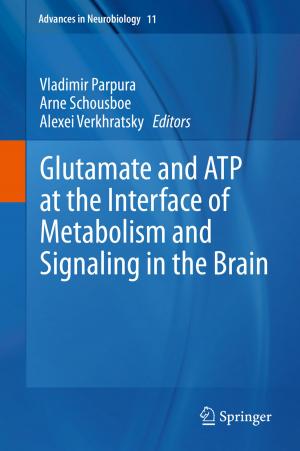 Cover of the book Glutamate and ATP at the Interface of Metabolism and Signaling in the Brain by Jianhua Lu, Xiaoming Tao, Ning Ge