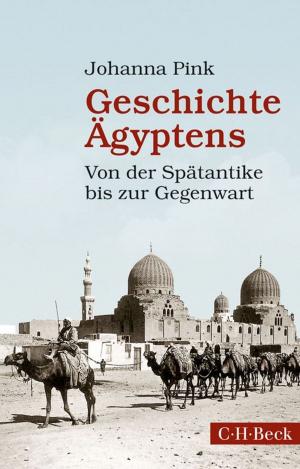 Cover of the book Geschichte Ägyptens by Johannes Bähr, Christopher Kopper