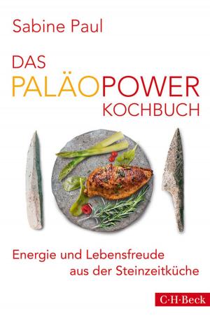 Cover of the book Das PaläoPower Kochbuch by Sabine Appel