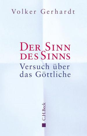 Cover of the book Der Sinn des Sinns by Bernhard F. Klinger, Wolfgang Roth