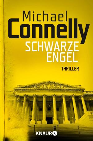 Cover of the book Schwarze Engel by Oliver Stöwing