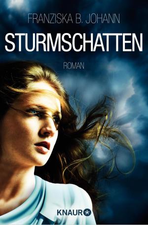 Cover of the book Sturmschatten by Ralph B. Mertin