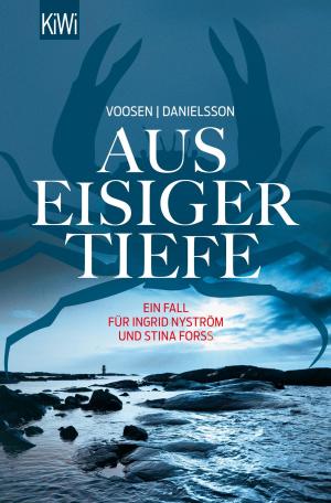 Cover of the book Aus eisiger Tiefe by Peter Härtling