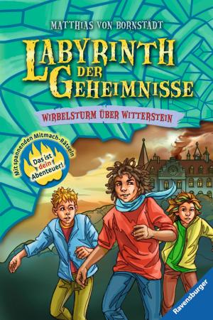 Cover of Labyrinth der Geheimnisse 7: Wirbelsturm über Witterstein