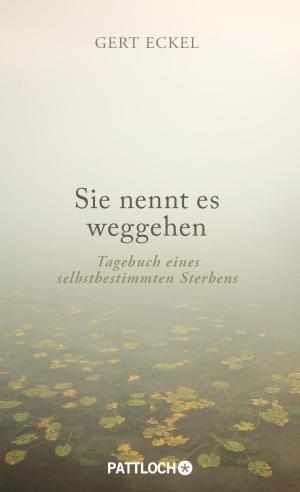 Cover of the book Sie nennt es weggehen by Anselm Grün