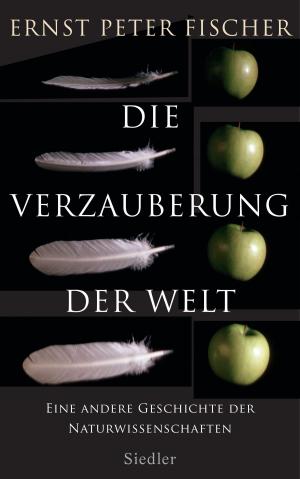 Cover of the book Die Verzauberung der Welt by Magnus Brechtken