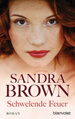 Cover of the book Schwelende Feuer by Sandra Brown