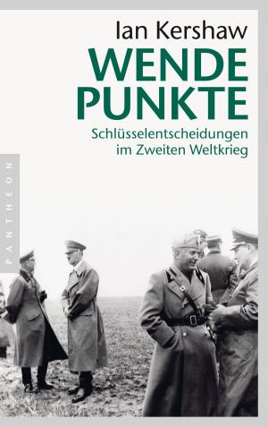 Cover of the book Wendepunkte by Caroline Lahusen, Sylvia Doria