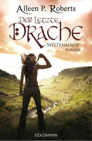 Book cover of Der letzte Drache
