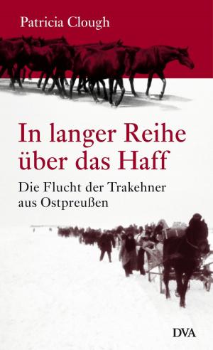 Book cover of In langer Reihe über das Haff