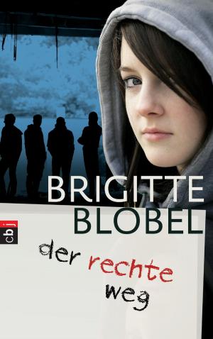 Cover of the book der rechte weg by Aprilynne  Pike