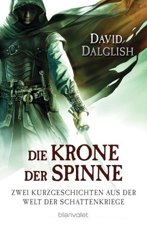 Cover of the book Die Krone der Spinne by Peter Orullian