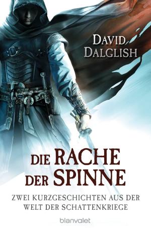 Book cover of Die Rache der Spinne