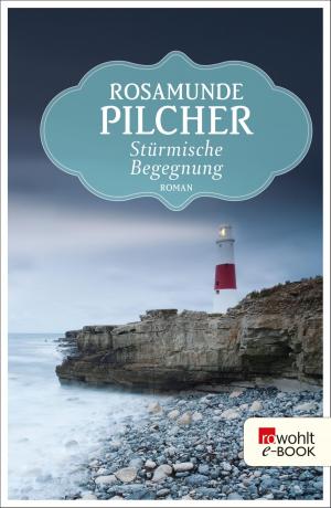 Book cover of Stürmische Begegnung