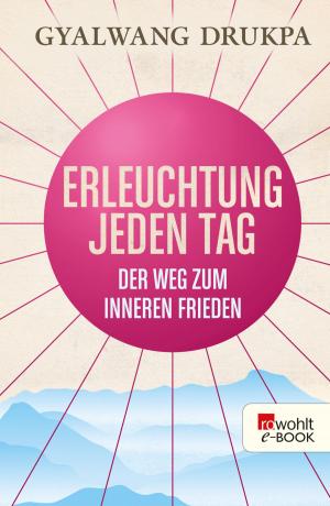 Cover of the book Erleuchtung jeden Tag by Helge Timmerberg
