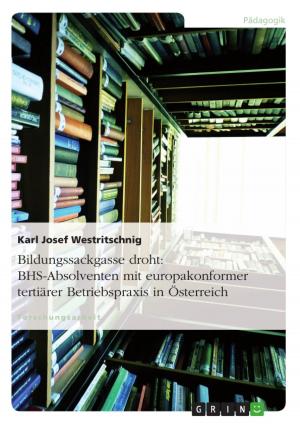 Cover of the book Bildungssackgasse droht: BHS-Absolventen mit europakonformer tertiärer Betriebspraxis in Österreich by Sebastian Stark