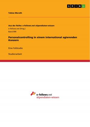 Cover of the book Personalcontrolling in einem international agierenden Konzern by Rajesh Ranga Rao