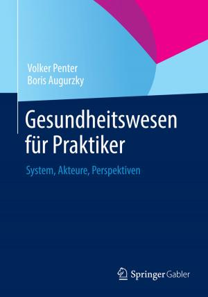 Cover of the book Gesundheitswesen für Praktiker by Jonathan Hofmann, Sandra Schmolz