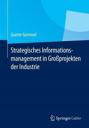 Cover of the book Strategisches Informationsmanagement in Großprojekten der Industrie by Raul Espejo, Alfonso Reyes
