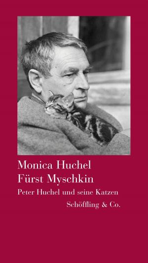 Cover of the book Fürst Myschkin by Gabriele Tergit, Nicole Henneberg
