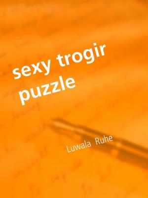 Cover of the book sexy trogir puzzle by Domingos de Oliveira