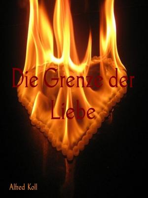 Book cover of Die Grenze der Liebe
