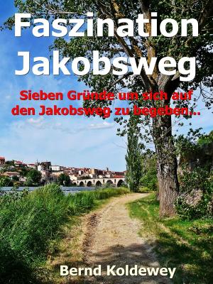 Cover of the book Faszination Jakobsweg by Jörg Becker