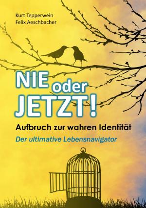 Book cover of Nie oder Jetzt! Aufbruch zur wahren Identität
