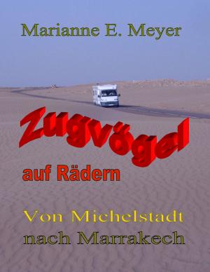 Cover of the book Zugvögel auf Rädern by Anne Gierse
