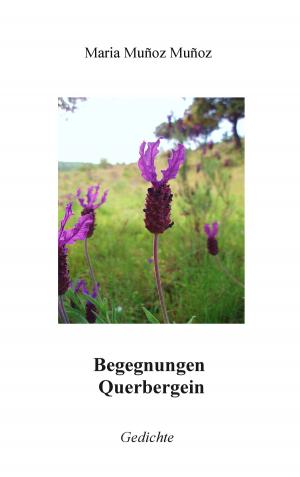 Cover of the book Begegnungen Querbergein by Martina Hinzmann