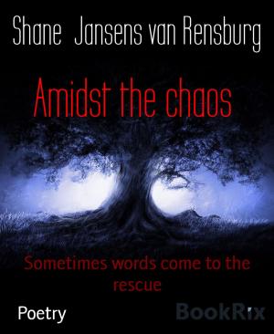 Cover of the book Amidst the chaos by Kooky Rooster