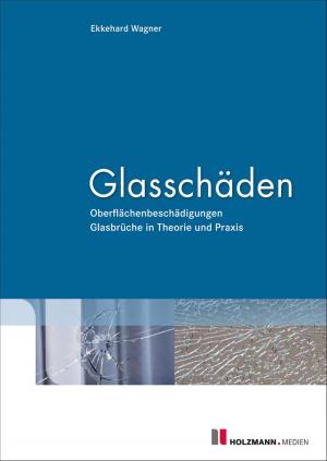 Cover of the book Glasschäden by Heinz Stark, Werner Rössle, Bernd-Michael Hümer, E. von Knorring