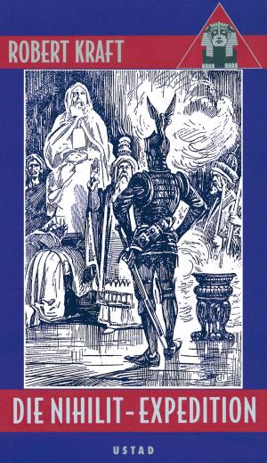 Cover of the book Die Nihilit-Expedition by Karl May