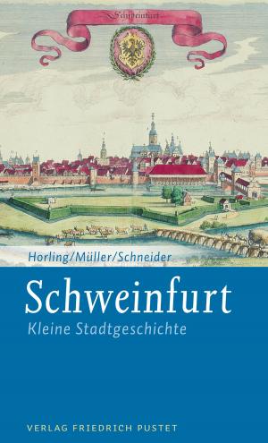 Cover of the book Schweinfurt by Oliver Braun, Thomas Götz, Thomas Grasberger, Sylvia Krauss-Meyl, Dominik Tomenendal