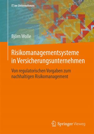 Cover of the book Risikomanagementsysteme in Versicherungsunternehmen by Valentin Plenk