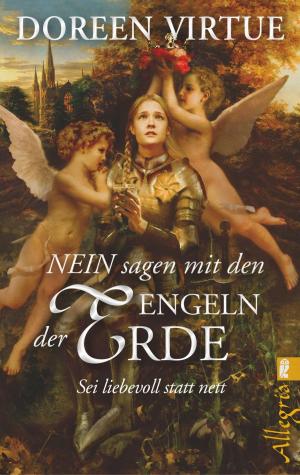 Cover of the book NEIN sagen mit den Engeln der Erde by Luis Ruvalcaba