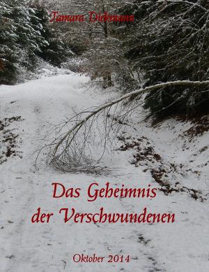 Cover of the book Das Geheimnis der Verschwundenen by Klaus-Dieter Thill