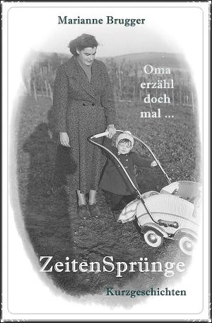 Book cover of ZeitenSprünge