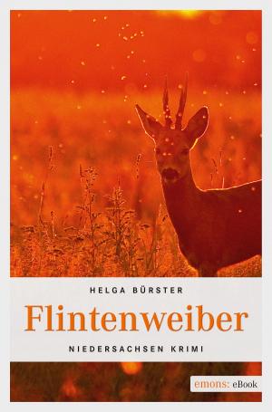 Cover of the book Flintenweiber by Heike Denzau