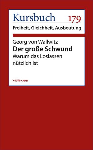 Cover of the book Der große Schwund by Eduardo Maura