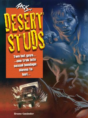 Book cover of Desert Studs