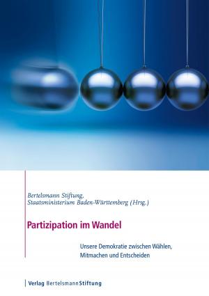Cover of the book Partizipation im Wandel by Rüdiger Hansen, Raingard Knauer