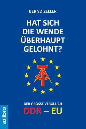 Cover of the book Hat sich die Wende überhaupt gelohnt? by Kevin Partner