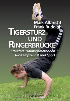 Cover of the book Tigersturz und Ringerbrücke by Frank Rudolph, Maik Albrecht, Daoming Xiong