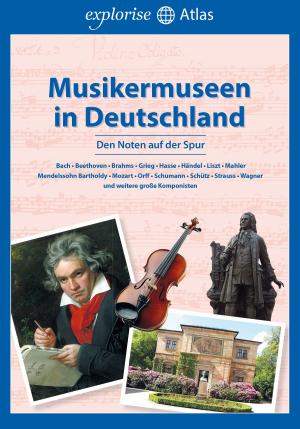 Book cover of Musikermuseen in Deutschland