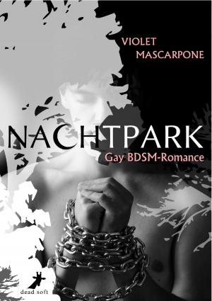 Cover of the book Nachtpark by Bettina Kiraly, Kathrin Fuhrmann