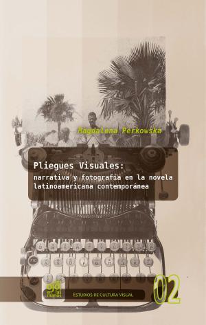 Cover of the book Pliegues visuales: narrativa y fotografía en la novela latinoamericana contemporánea by Elena M. Rojas Mayer