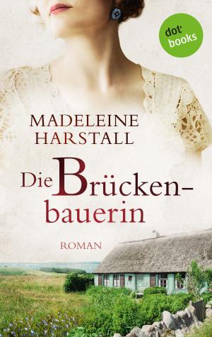 Cover of the book Die Brückenbauerin by Mattias Gerwald